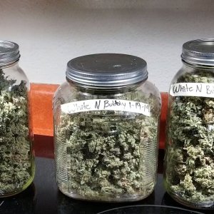 weed-jars.jpg