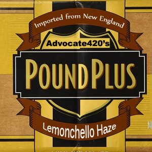 Advocate's POUND-PLUS.jpg