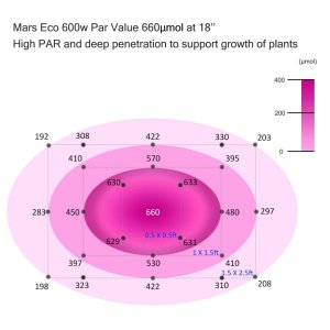 ECO600--Par_3.jpg