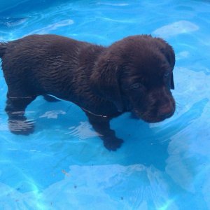 Bella in our baby pool