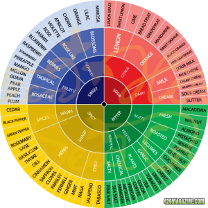 Smell checker - FlavourPie_strain_english_2012.png