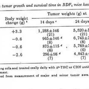 CBN, administered by gavage daily until death, demonstrated antitumor activ