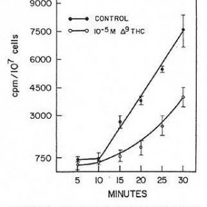 Effect of Cannabinoids on Isolated Cells In Vitro