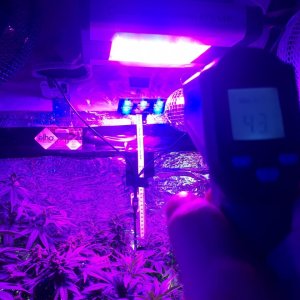 Temp on DIY IR and Deep Blue 3 w LEDs.jpg