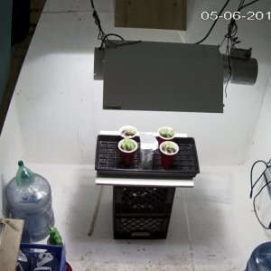 home_CAM 1_main_20190506215151.jpg