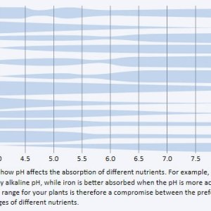 How-pH-Levels-affect-the-absorption-of-different-nutrients.jpg