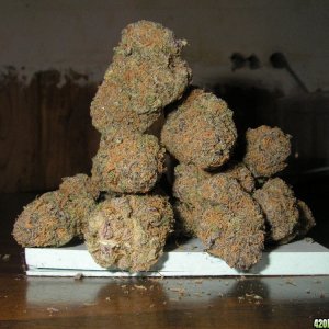 Grand_Daddy_Purple_Nuggets