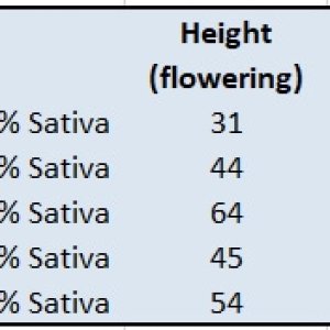 Growth table 04.jpg