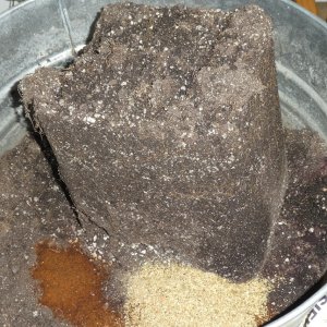 soil-roots.jpg