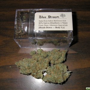 Blue_Dream4