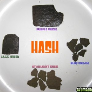 Bubble_Hash2