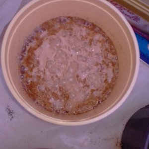 Ginger sugar yeast CO2.jpg