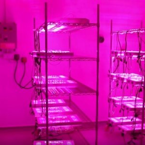 LED-grow-light-environmental-test-1400x652.jpg