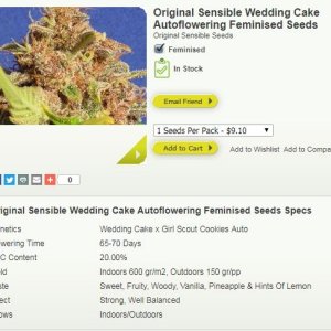 Wedding Cake (Auto).JPG