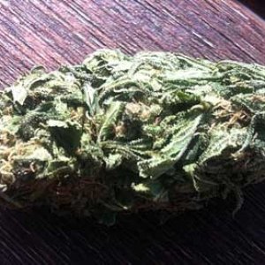 0_example-untrimmed-cannabis-bud-sm.jpg