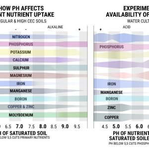 0_PH-GRAPHIC-COLORSnew_1.jpg