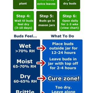 0_cannabis-harvest-drying-curing-cheat-sheet-small-version.jpg