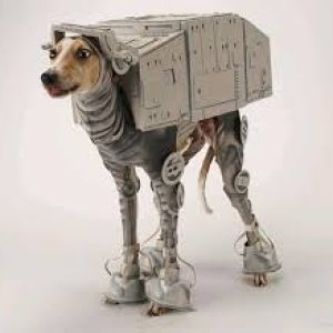 0_starwarsdog.jpg