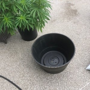 new pots.jpg