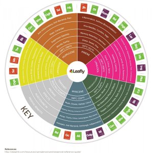 terpene chart.jpg