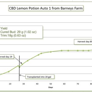 Growth chart 08.jpg