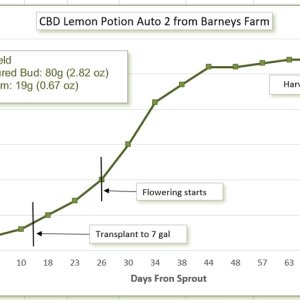 Growth chart 09.jpg