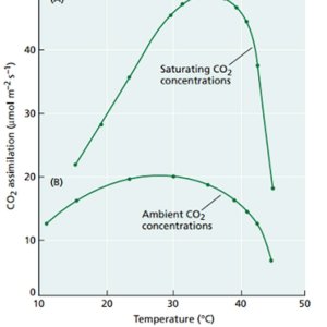 temperature-blog-graphic-large.jpg