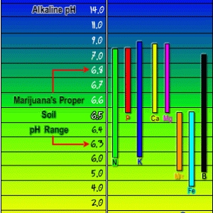 Nutrient_Chart2.gif