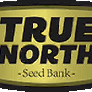 tnsb-logo.png