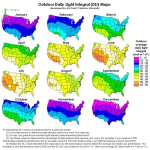 DLI for United States .jpg