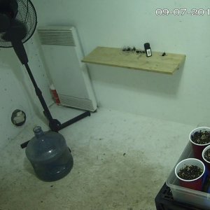 home_CAM 1_main_20190907180347.jpg