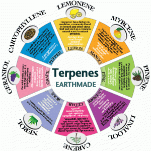 Terpene chart.gif