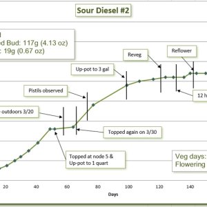 Growth chart 13.jpg