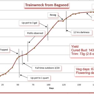 Growth chart 12.jpg