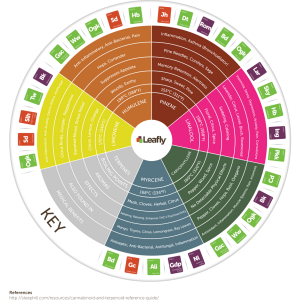 terpene-info.png