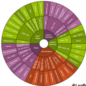 Capture 4 Symtom chart and strain to choose.PNG