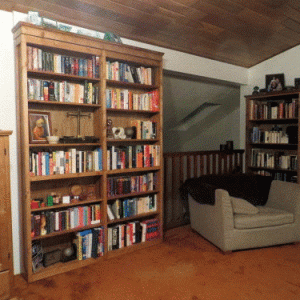 sliding-bookcase-door.gif