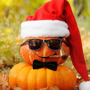 0_Halloween-christmas-decorations-installations-set-up-design-services-company.jpg