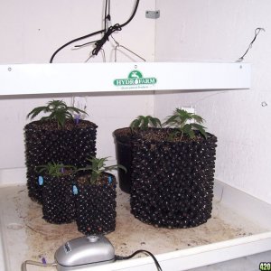 Air Pot Nursery