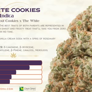 Yerba-Buena-Cannabis-Oregon-White-Cookies-Strain.jpg