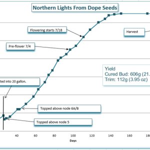 Growth chart 14.jpg