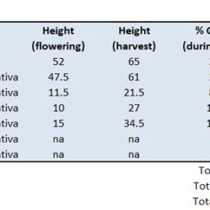 Summary Table.jpg