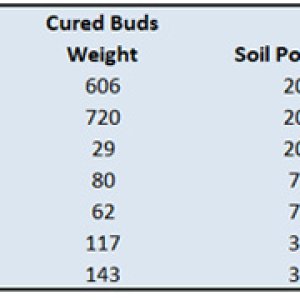 Summary Table 02.jpg