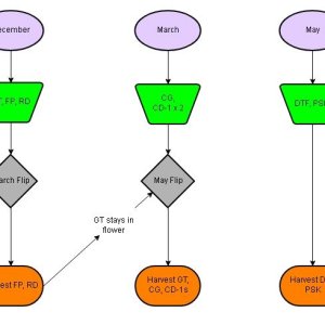 grow flowchart 2019-2020.JPG