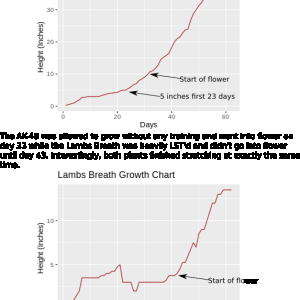 AK and LB growth charts.svg.png