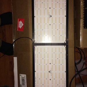 BUDGET LED 250W SERIES 2 R SPEC 3500K.JPG