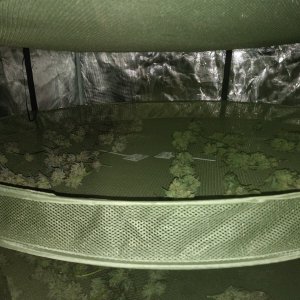 Drying tent set up and loaded up (5).jpg