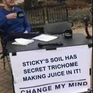 sTICKYS sOIL.JPG