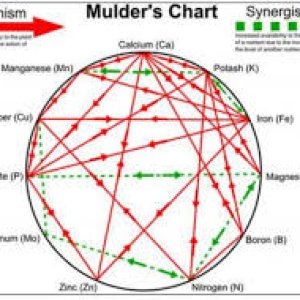 mulders-chart-e1465939603653.jpg