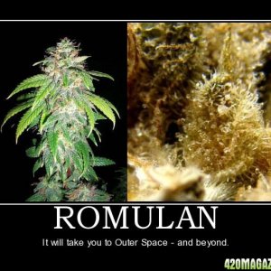 Romulan - Outer Space and Beyond